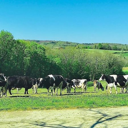 « Le Vieux Hangar » Gite A La Ferme Truffe Extérieur photo