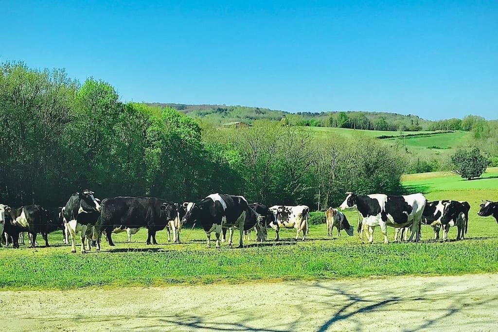 « Le Vieux Hangar » Gite A La Ferme Truffe Extérieur photo